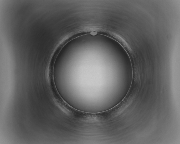 X0000110940439200906191234