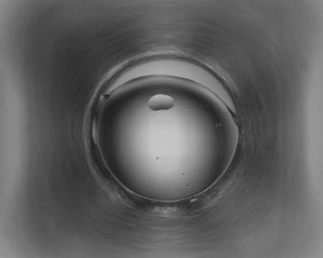 X0000110940440200906191234