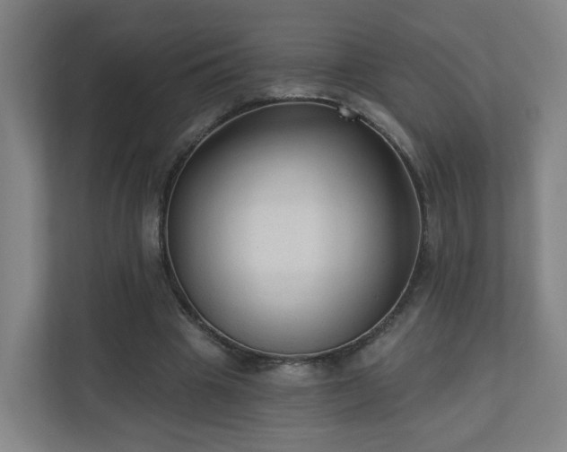 X0000110940441200906191234