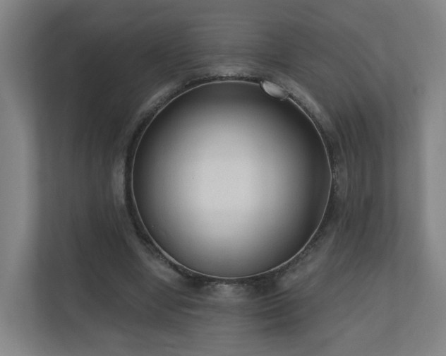 X0000110940442200906191234