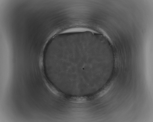 X0000110940443200906191234