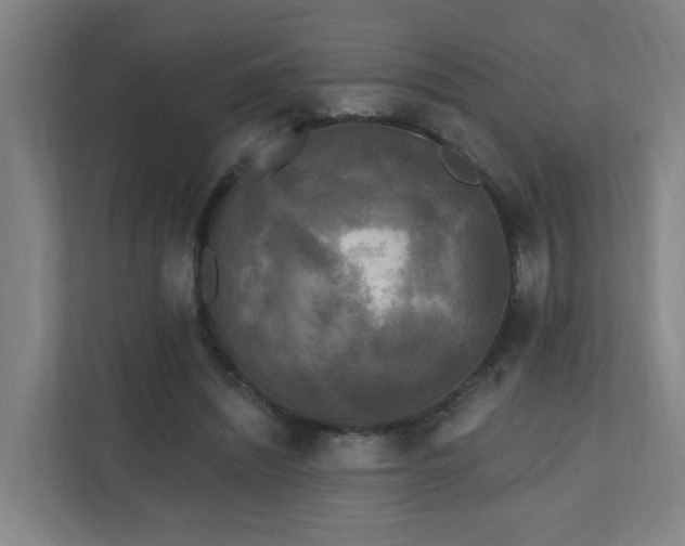 X0000110940444200906191234