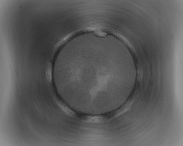 X0000110940446200906191234