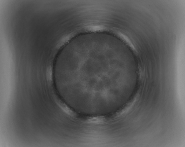 X0000110940447200906191234