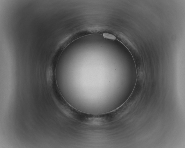 X0000110940448200906191234