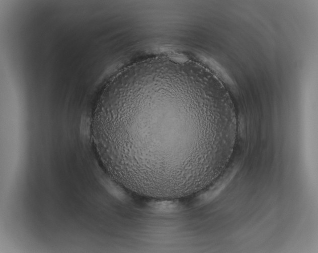 X0000110940449200906191234