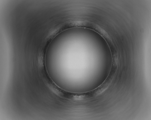 X0000110940450200906191234