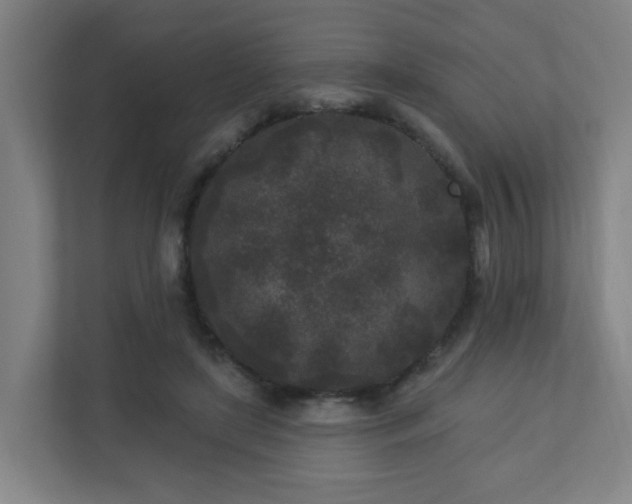 X0000110940451200906191234