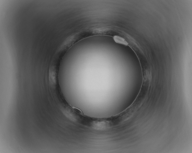 X0000110940452200906191234