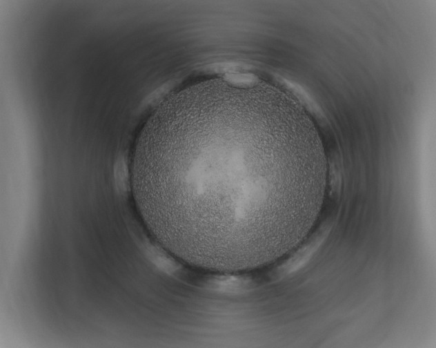 X0000110940453200906191234