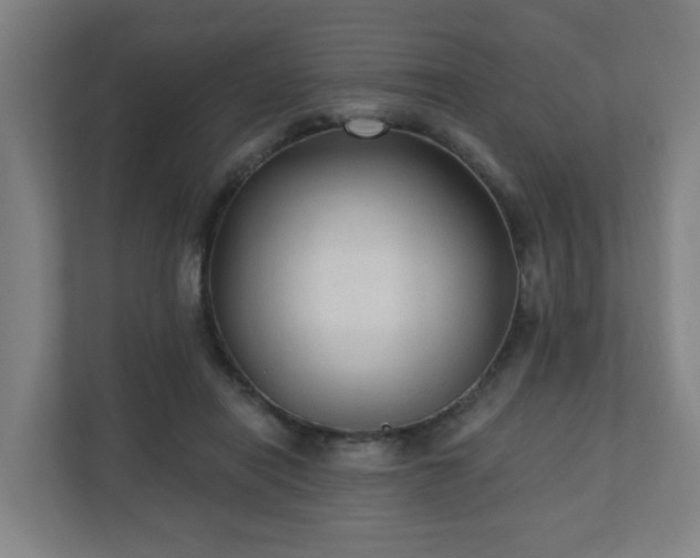 X0000110940454200906191234