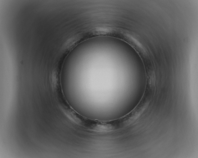 X0000110940455200906191234