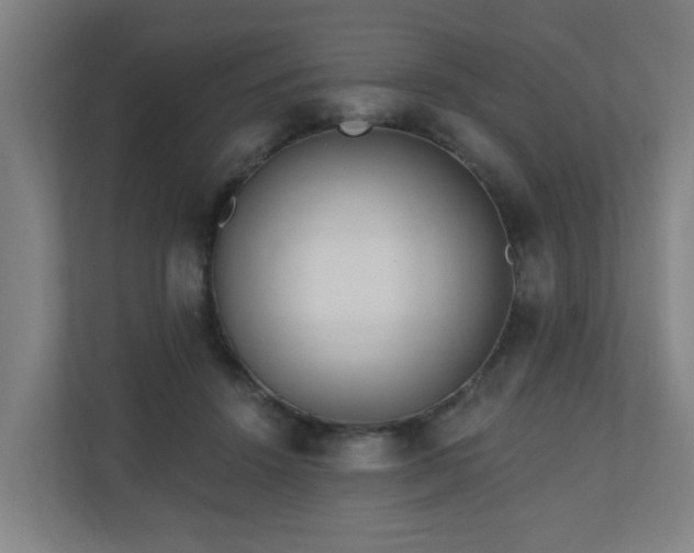 X0000110940456200906191234