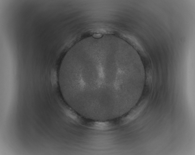 X0000110940457200906191234