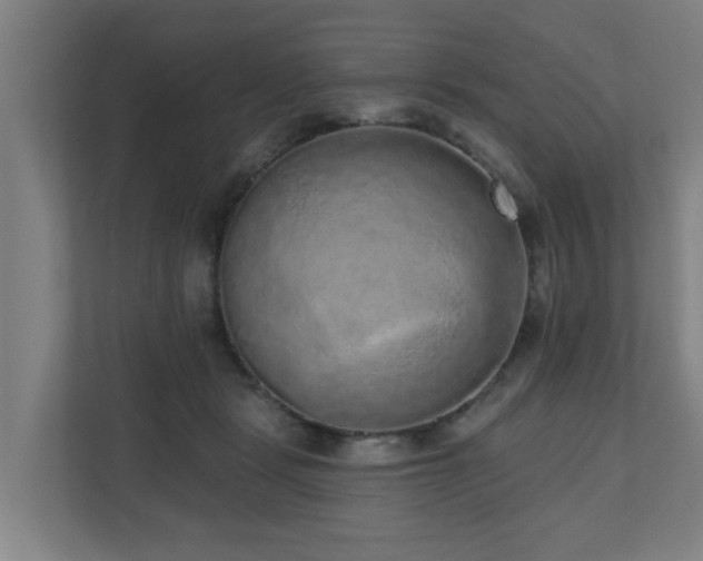 X0000110940461200906191234