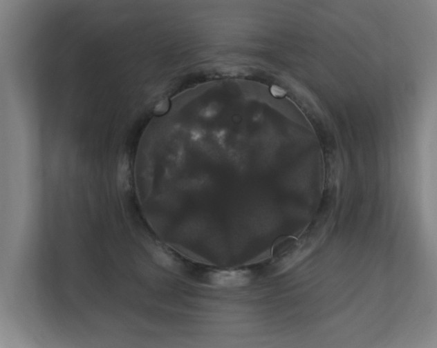 X0000110940465200906191234