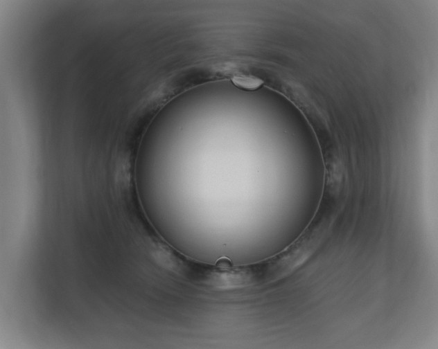 X0000110940466200906191234