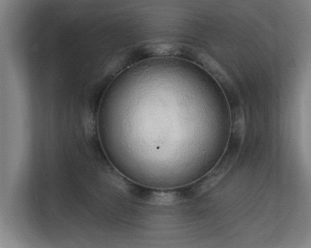 X0000110940469200906191234