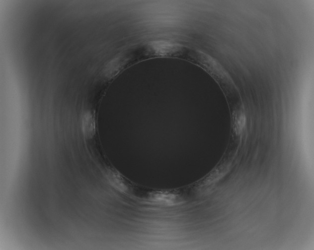 X0000110940471200906191234