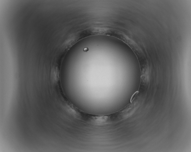 X0000110940474200906191234