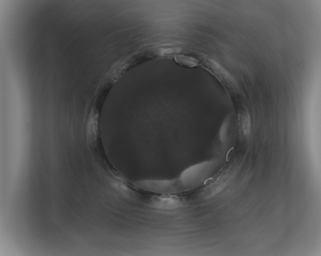 X0000110940475200906191234