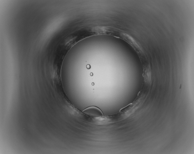 X0000110940477200906191234