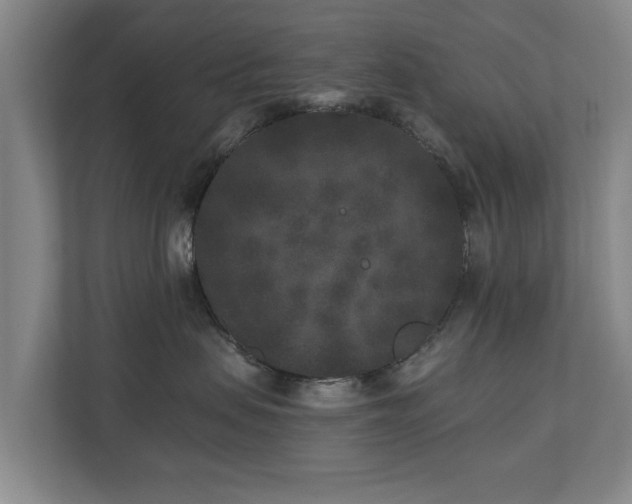 X0000110940479200906191234