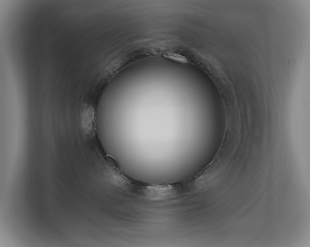 X0000110940480200906191234