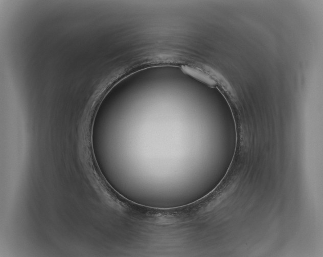 X0000110940481200906191234