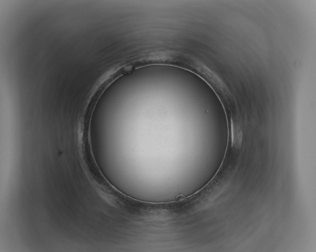 X0000110940483200906191233