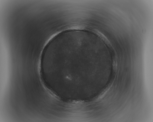 X0000110940484200906191233