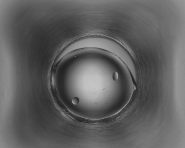 X0000110940485200906191233