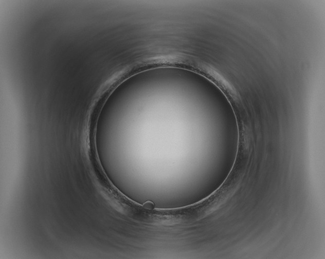 X0000110940486200906191233