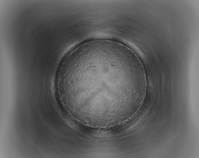 X0000110940487200906191233