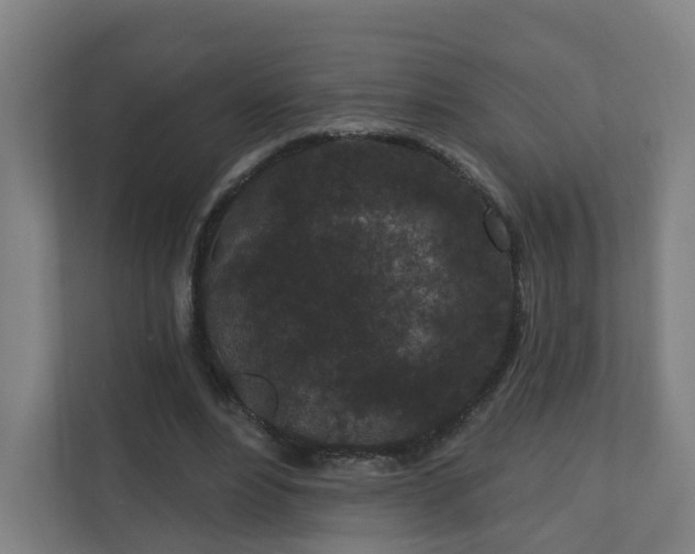 X0000110940488200906191233