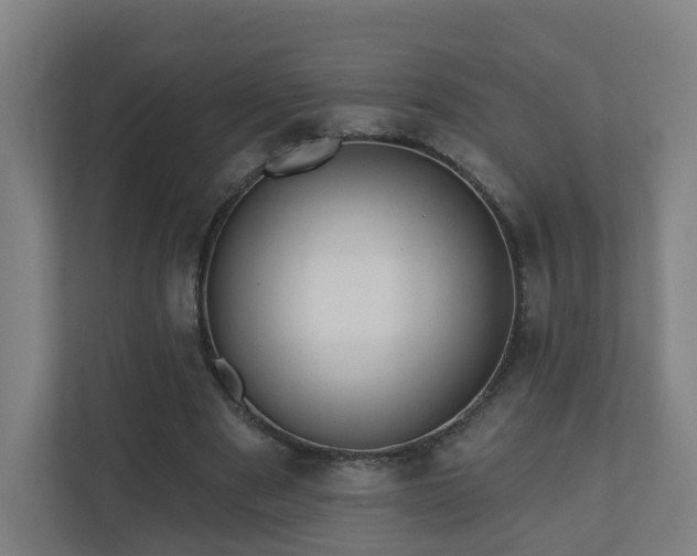 X0000110940489200906191233