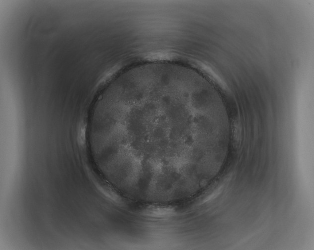 X0000110940491200906191233