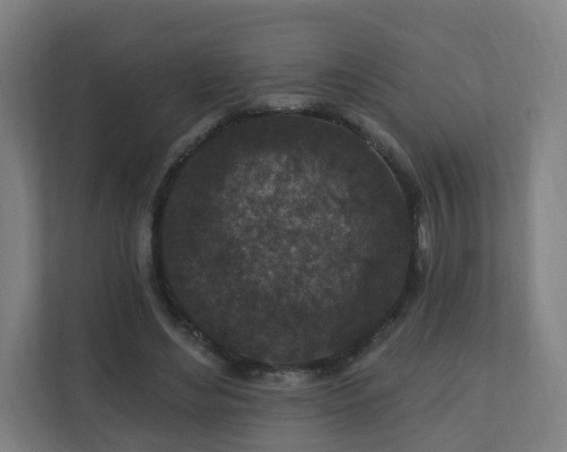 X0000110940492200906191233