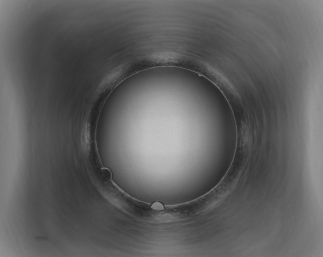 X0000110940494200906191233