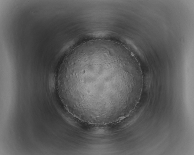 X0000110940495200906191233