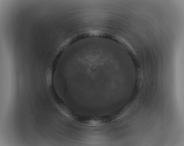 X0000110940496200906191233