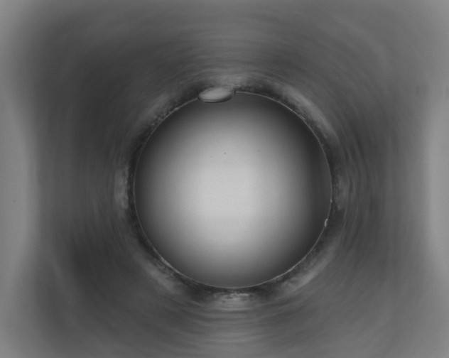 X0000110940497200906191233