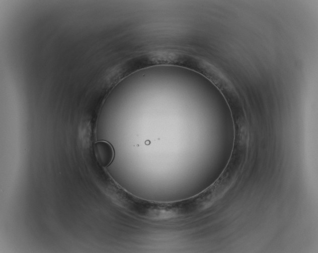 X0000110940498200906191233