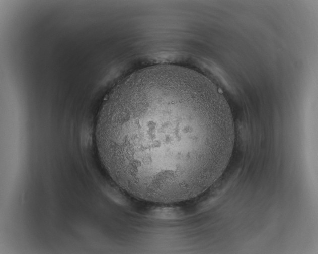 X0000110940499200906191233