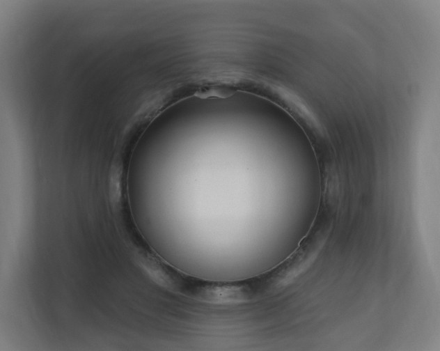 X0000110940501200906191233