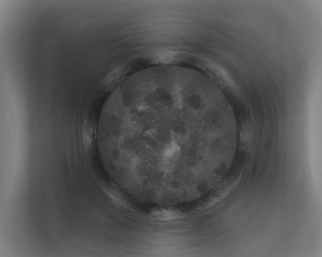 X0000110940503200906191233