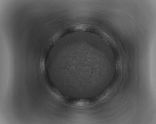 X0000110940504200906191233