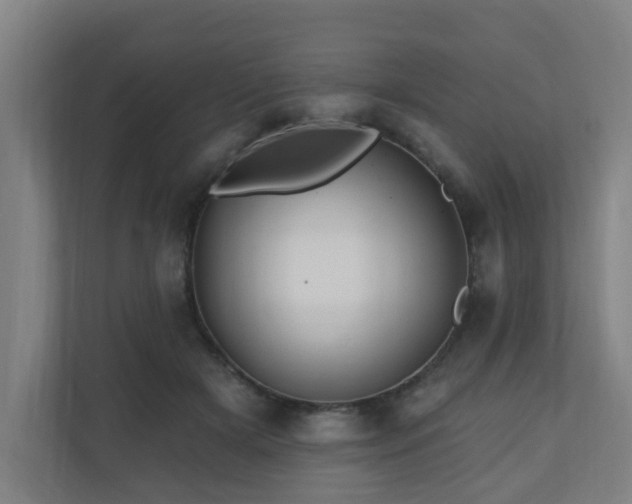 X0000110940505200906191233