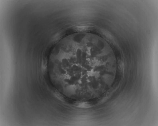 X0000110940507200906191233