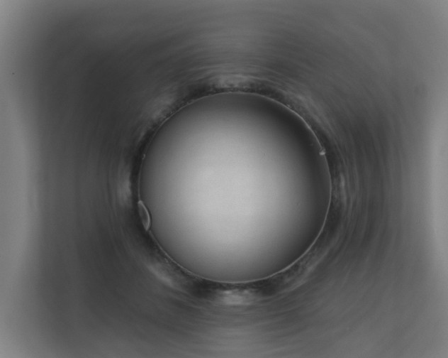 X0000110940508200906191233